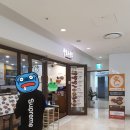 안쭈불