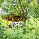 아중 이미지