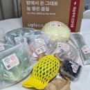 피망 | 친환경 유기농 아기 이유식 못난이 채소 정기 배송 어글리어스마켓 후기 (추천인 피망7150535)