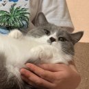 주일사세탁소 | 두달만 있으면 나는야 31살이라네.에바라네