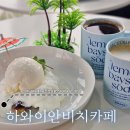 하와이안비치카페 | 제주도카페추천 | 하와이안비치카페 오션뷰 솔직후기