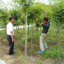 한밭농장 이미지