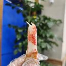 천상대게아산탕정점
