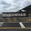 흰수염고래리조트 이미지