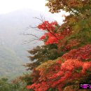 (주)쉬즈케어 이미지