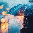 모터쿠마 | 천안유리발수코팅, 셀프시공 vs 전문가 시공 전격 비교