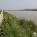 이촌로72길 이미지