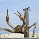 평해목장 이미지