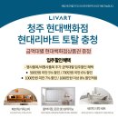 청주 동남지구 대성베르힐 리바트 누베 소파 후기 _ 청주 현대백화점 리바트