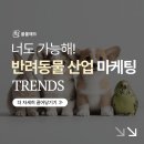 애드펫동물병원 | 펫 반려동물 브랜드 마케팅 보호자의 마음을 움직이는 전략