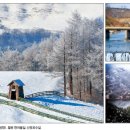 풍차언덕 이미지