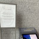 치킨파크 | [정선 파크로쉬 수영장 :: 야외 자쿠지 :: 요가 :: 치킨 포장 후기] 파크로쉬 리조트앤웰니스 ✨