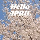 (주)신세계본사, 신세계푸드 신세계강남본사점, 터미널상가, 서울고속버스터미널, 시래마을 | 4월의 기록│놀고 먹고 다하기
