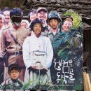 윌컴 Daum카페