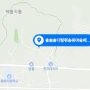 솔솔솔 다람쥐숲 유아숲체험원 이미지