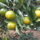 음지농장 이미지