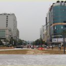 선부광장 이미지