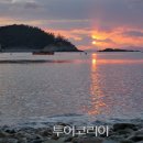 욜로 이미지