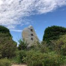 백양산임도(2) 이미지