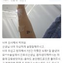 장튼튼항외과의원 네이버블로그