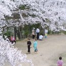 1박2일펜션민박 이미지