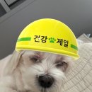 웰니스클리닉(청계천점) 이미지