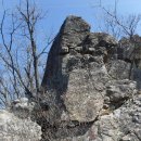 여우와늑대 이미지