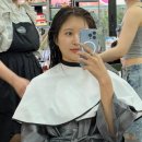 메종드헤어(회룡역점) | 대전 월평동 미용실 메종드코이 헤어클리닉 후기