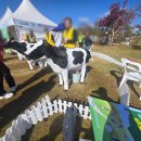 평택한우마을 | 평택가볼만한곳 농업생태원 2025 팜팜페스티벌 축산한우 축제 가을 나들이 후기