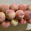 청송청과 이미지