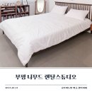 아기와 함께한 인스타감성 촬영 부평 니무드 렌탈스튜디오 후기