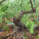 용복농장 이미지