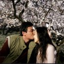 너는 내운명 이미지