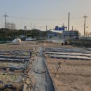 용전농장 이미지