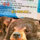 관세박물관 이미지