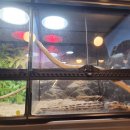 작은동물원 이미지