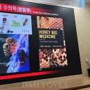 예은결혼정보 이미지