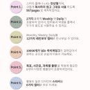 손뇨 | 굿노트속지 만년형플래너 활용 후기 _ 손뇨디지털허브