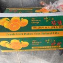 한성청과 이미지