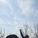 원적.천마.중구봉.계양산 이미지