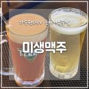 도안동 술집 &#39;미생맥주&#39; 토마토맥주 솔직 후기🍻