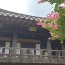 김경한의원 이미지