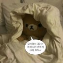 속초 1일차