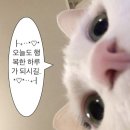 큐엔에이룸 이미지