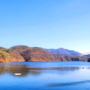 미르 행정사사무소 이미지