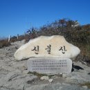 양산신-2015 이미지