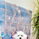 몽띠아모 이미지