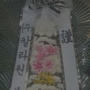 (주)칼라원