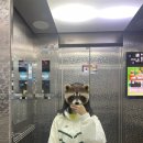 게으른자의 지나간 일상