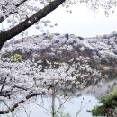 외국인이 access한 사진. 631. 이미지